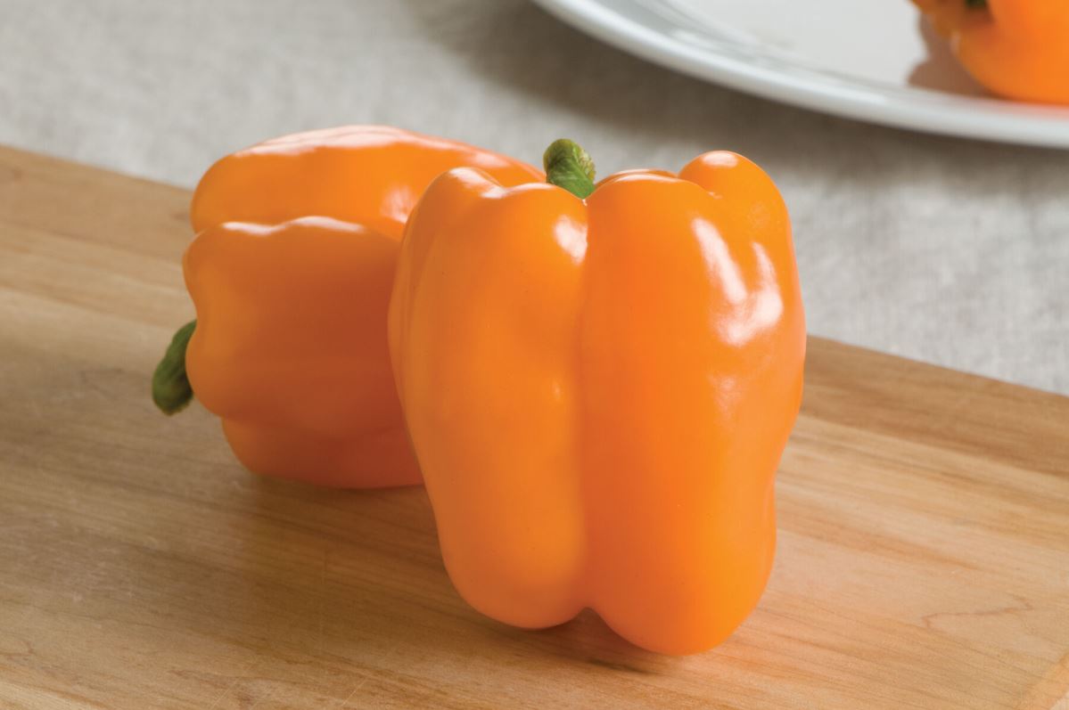 Gourmet – Bell Pepper Seed